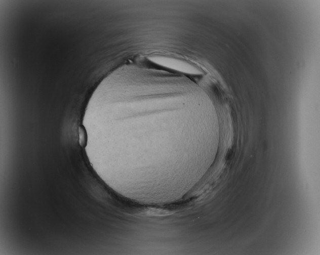 X0000087540393200705251724