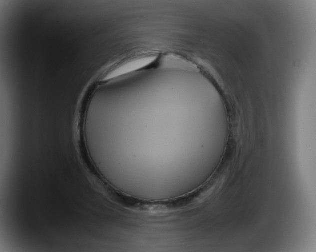 X0000087540395200705251724