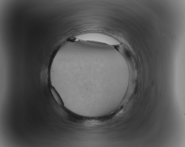 X0000087540397200705251724