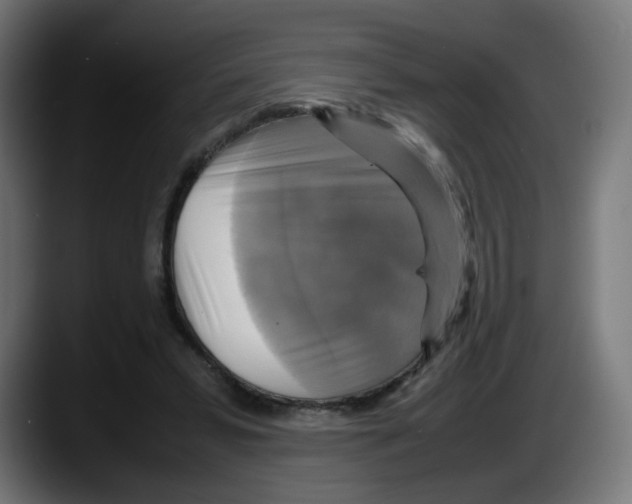 X0000087540399200705251724