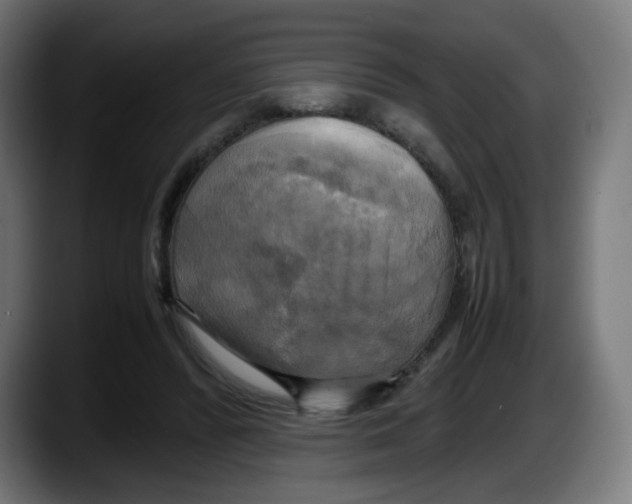 X0000087540400200705251724