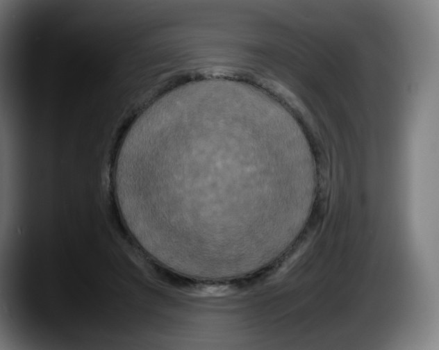 X0000087540401200705251724