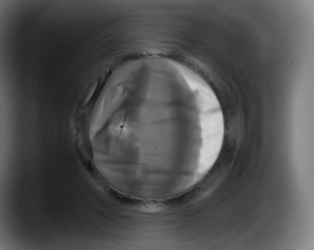 X0000087540402200705251724