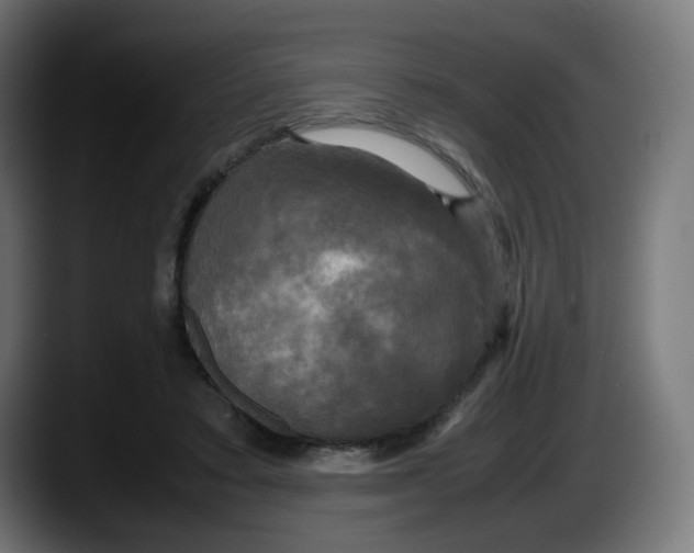 X0000087540403200705251724