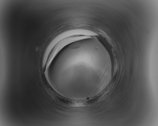 X0000087540405200705251724