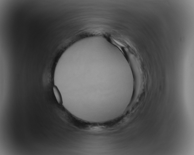 X0000087540407200705251724