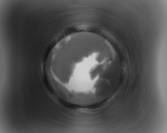 X0000087540408200705251724