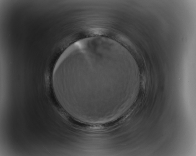 X0000087540410200705251724