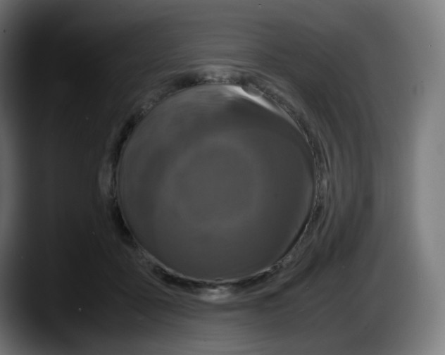 X0000087540411200705251724