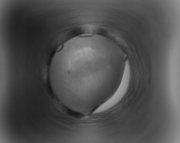 X0000087540413200705251724