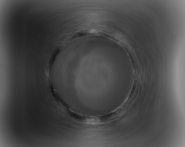 X0000087540415200705251724