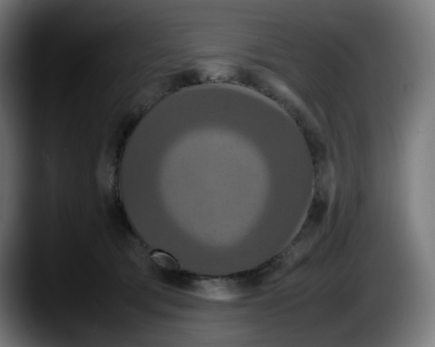 X0000087540417200705251724