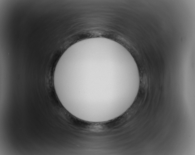 X0000087540418200705251724