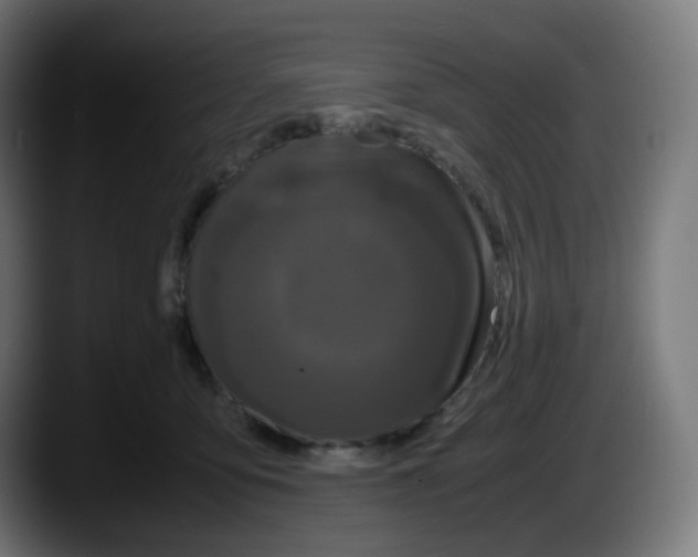 X0000087540419200705251724