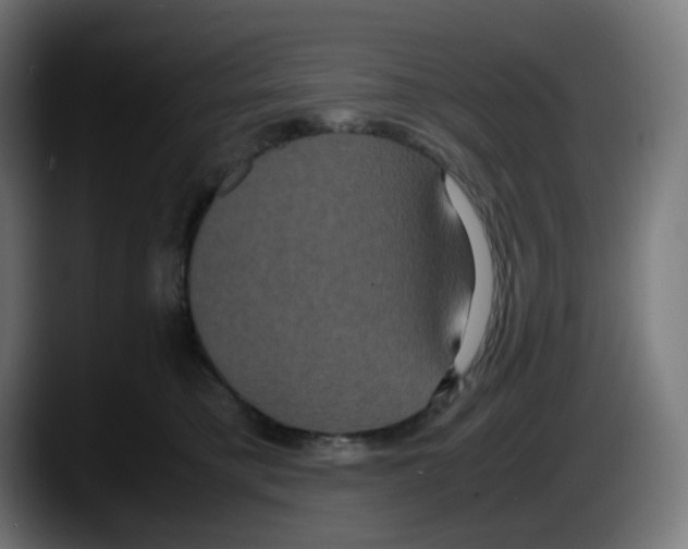 X0000087540421200705251724