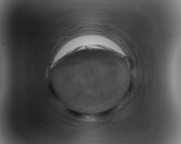 X0000087540423200705251724