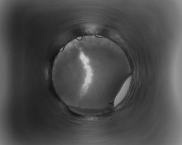 X0000087540424200705251724