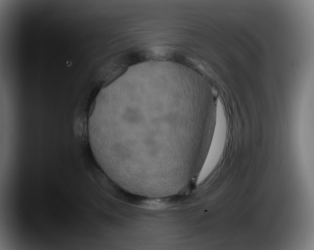 X0000087540425200705251724