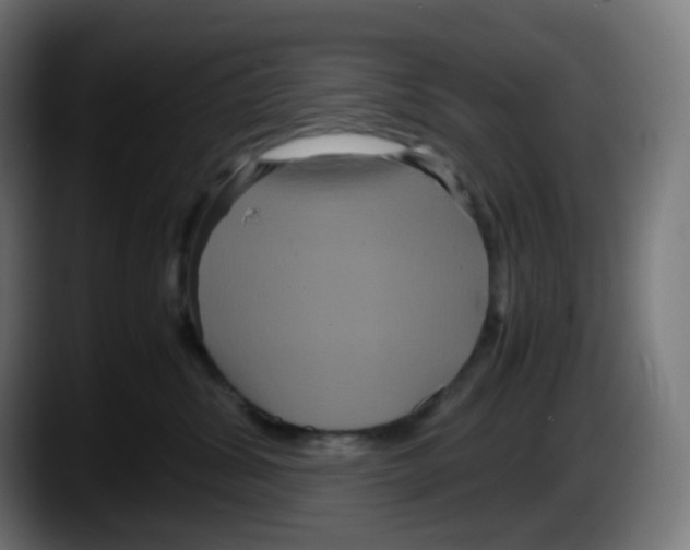 X0000087540428200705251724