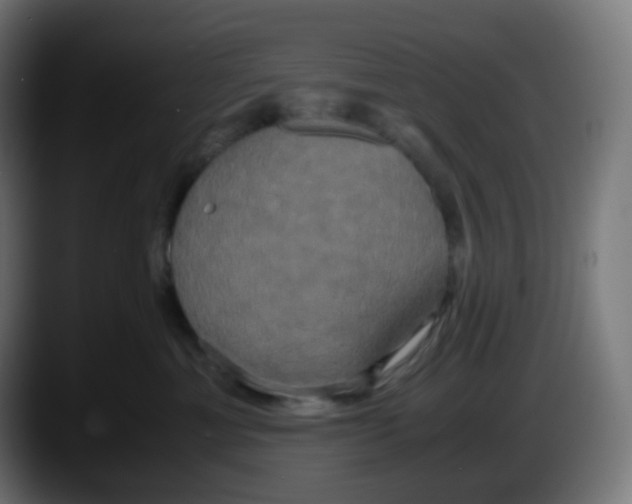 X0000087540429200705251724