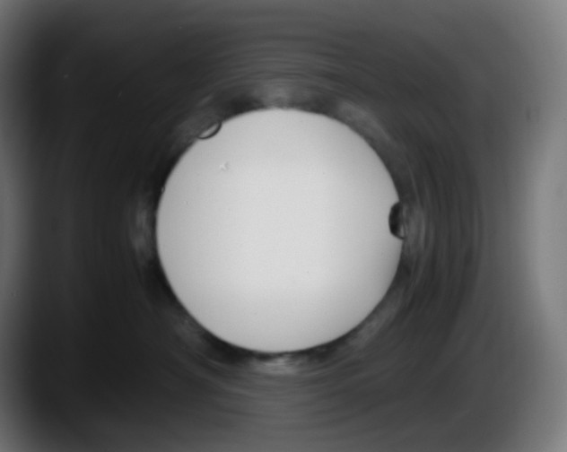 X0000087540430200705251724