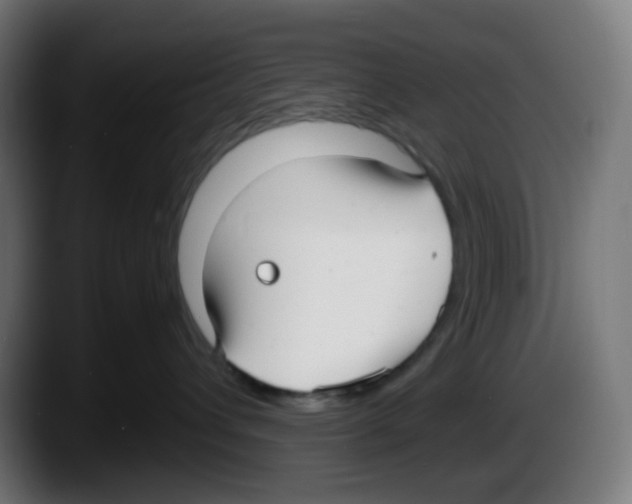 X0000087540432200705251724