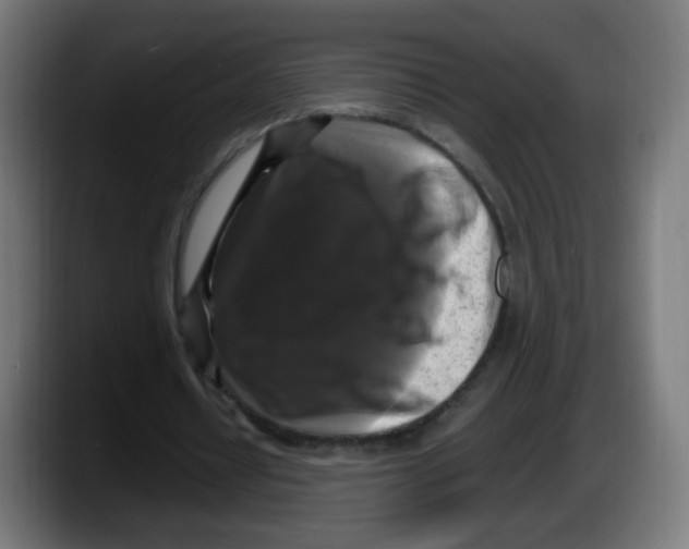 X0000087540434200705251723