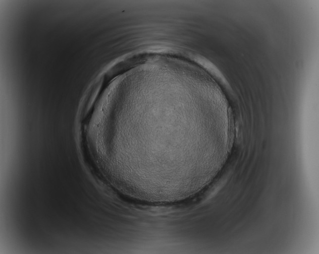 X0000087540436200705251723