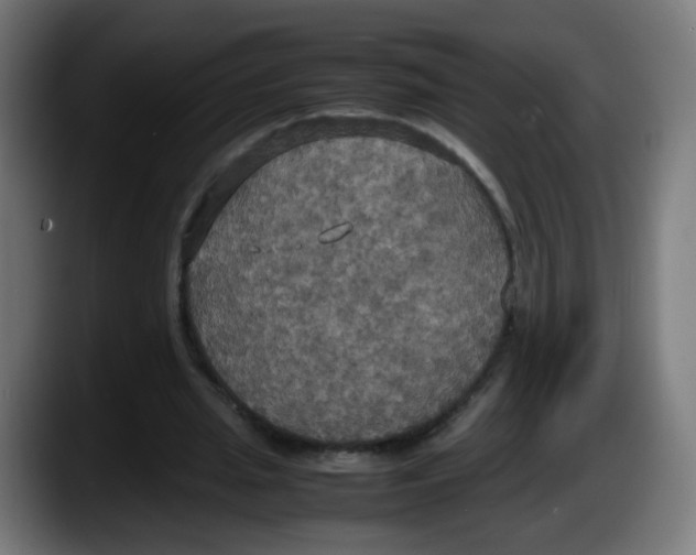 X0000087540437200705251723