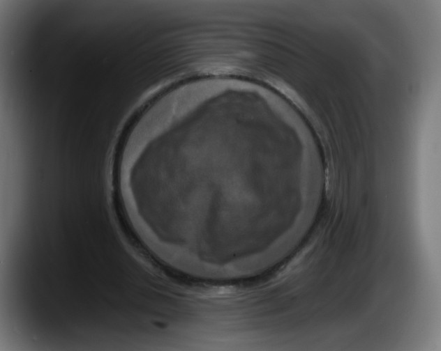 X0000087540438200705251723