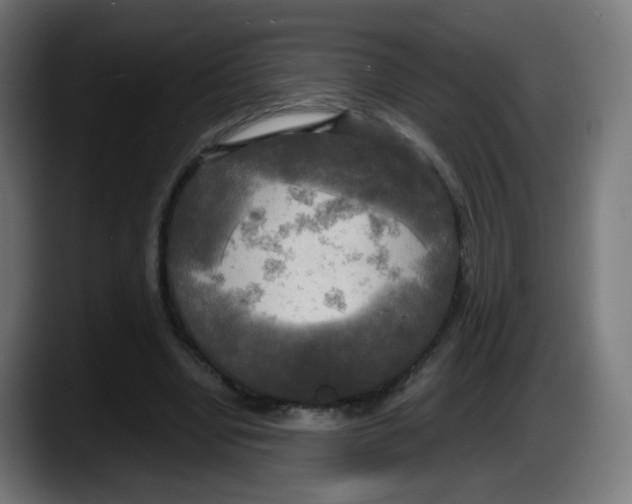 X0000087540442200705251723