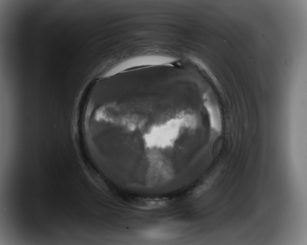 X0000087540443200705251723