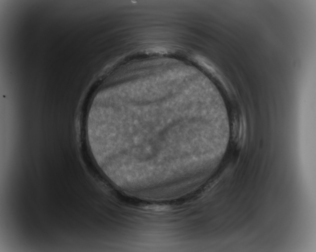 X0000087540444200705251723