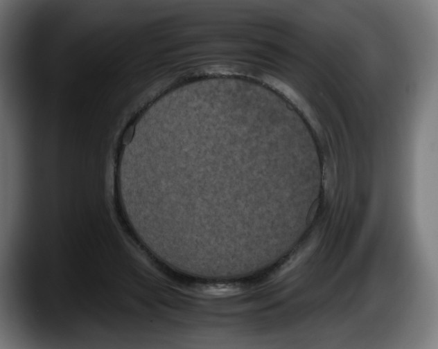 X0000087540445200705251723