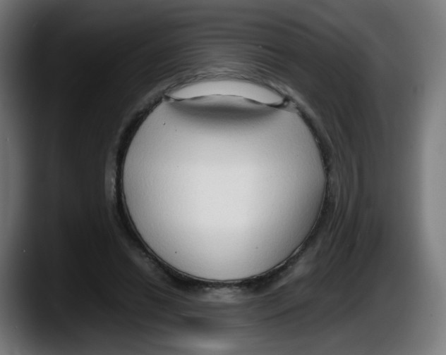 X0000087540446200705251723