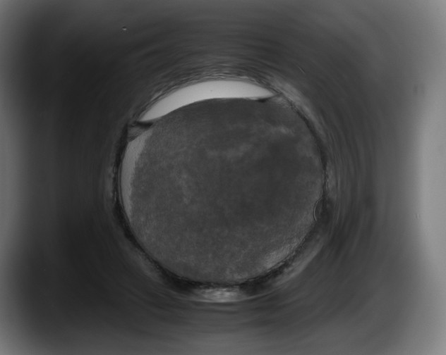 X0000087540449200705251723