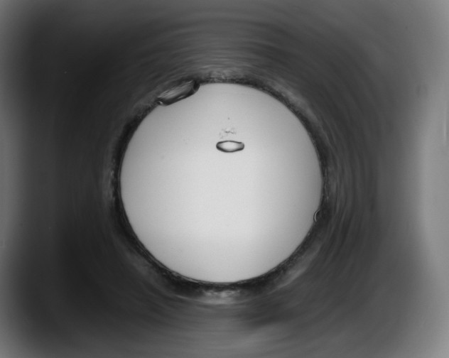 X0000087540450200705251723