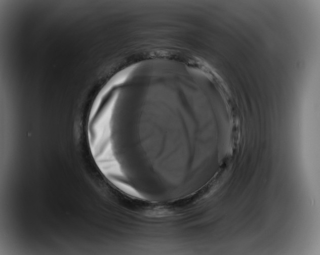 X0000087540451200705251723