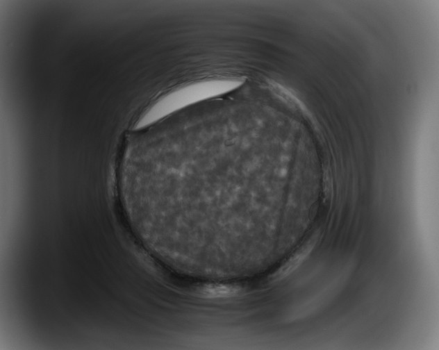 X0000087540453200705251723