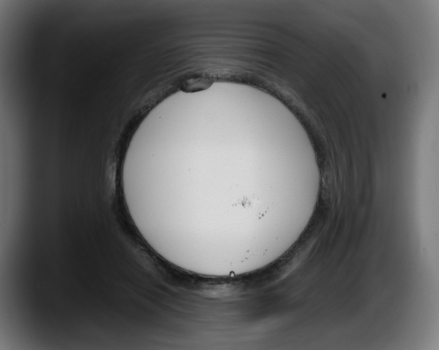 X0000087540454200705251723