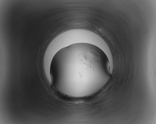 X0000087540456200705251723