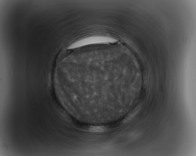 X0000087540457200705251723