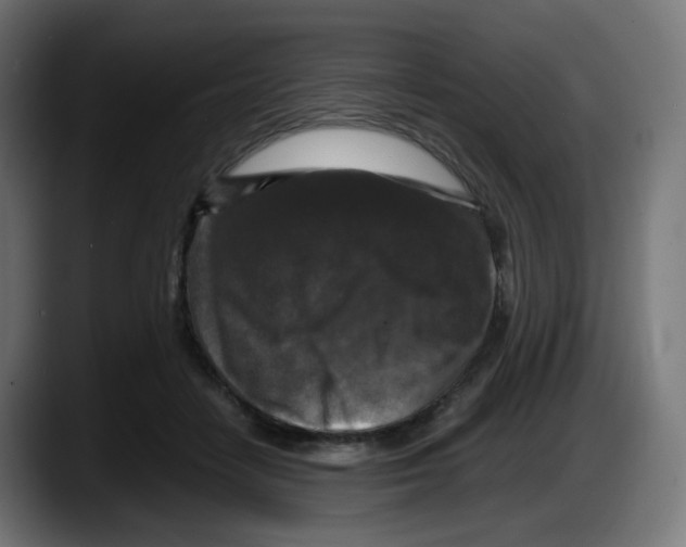 X0000087540458200705251723