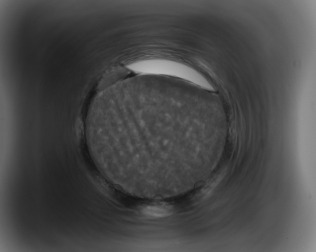 X0000087540459200705251723