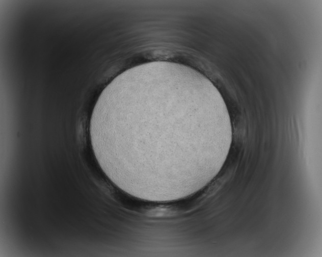 X0000087540460200705251723