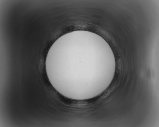 X0000087540463200705251723