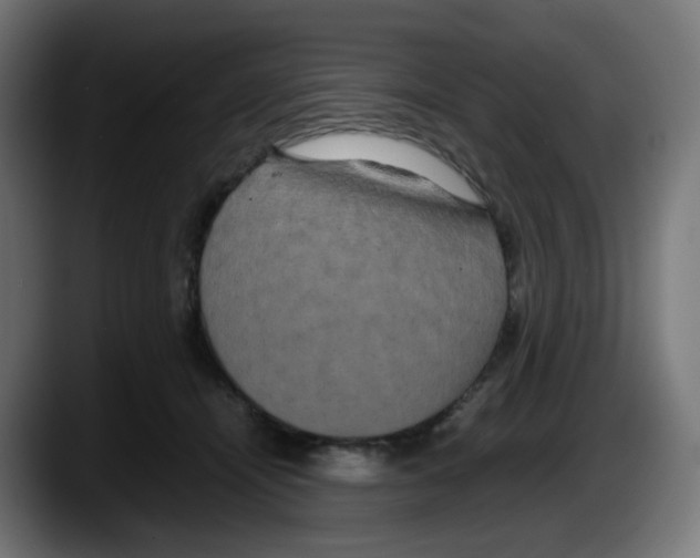 X0000087540464200705251723