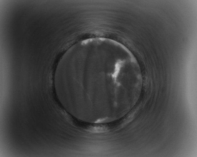 X0000087540466200705251723