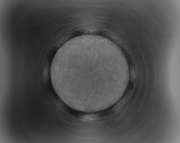 X0000087540468200705251723