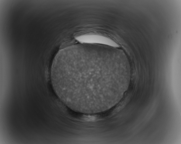 X0000087540469200705251724